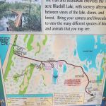 Bluebill Trailhead