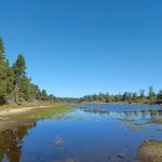 Bluebill Campground