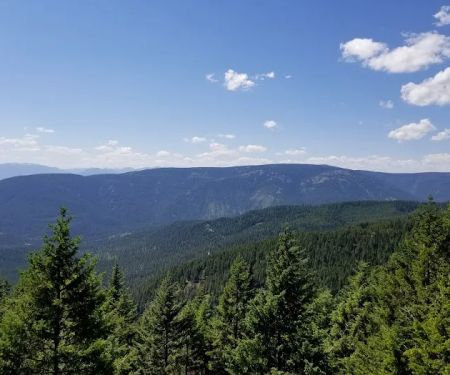 Deer Ridge Lookout