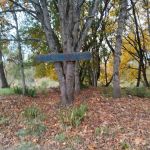 Elk Island Roseburg Oregon