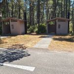 Wild Mare Horse Camp