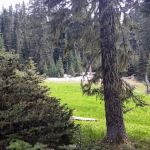 Twin Lakes Shelter