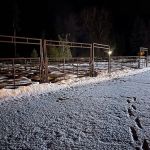 Horse corral