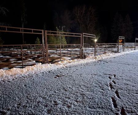 Horse corral