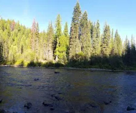 Fly Flat Campground