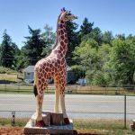 Cypress Hills RV Campground