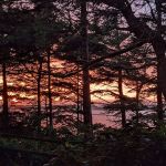 Boice-Cope Park