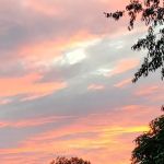 Farnum Park, LLC