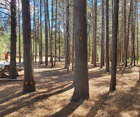 Corral Springs Campground