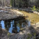 Willow Campground