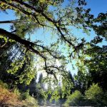 Ash Flat Campground