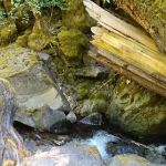 Devil's Flat Campground