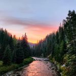 Cedars Campground