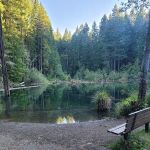 Laird Lake Campground