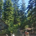 Woodruff OHV
