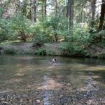 Elderberry Flats Campground and Picnic Area