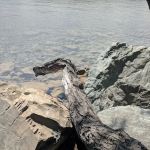 North Dickey Lake Campground