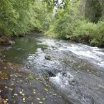 Foster Bar Campground