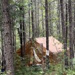 Glacier Glamping