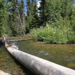 Logging Creek Campground