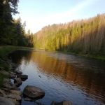 Rackliff Campground