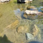 Six Mile Campground