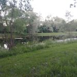 Three Oaks Estates