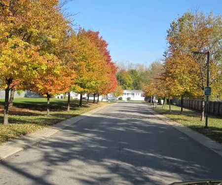 Mill Race Shores