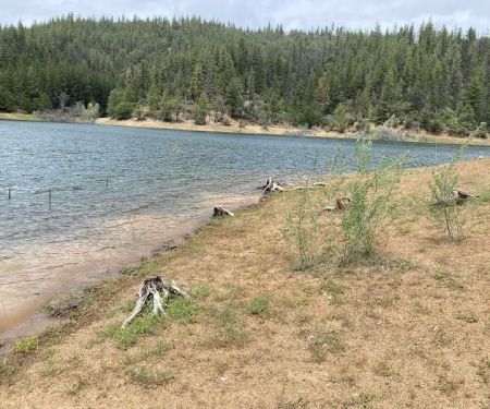 Harr Point Campground