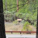 Watkins Campground