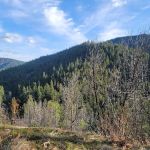 Hutton Campground