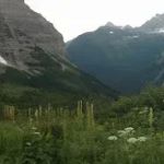 Brown Pass Campground