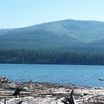 Peters Creek Campground