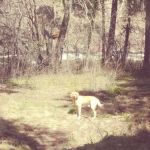 Norton Campground