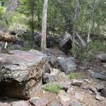 Ninemile Prairie Campground