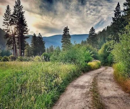 Grizzly Campground