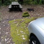 Grayback Campground
