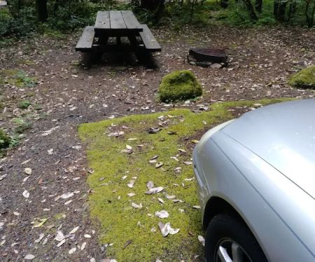 Grayback Campground