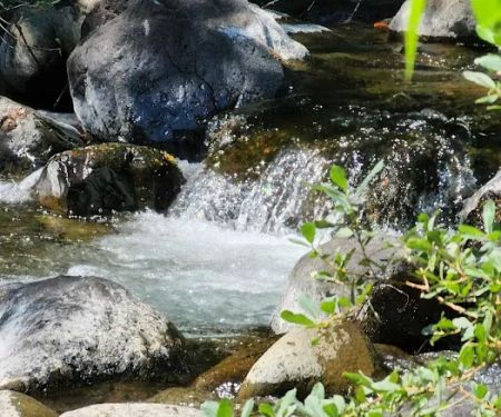 Shelly Creek Campground