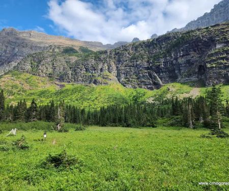 Helen Lake Campground