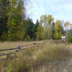 Stony Creek Campground