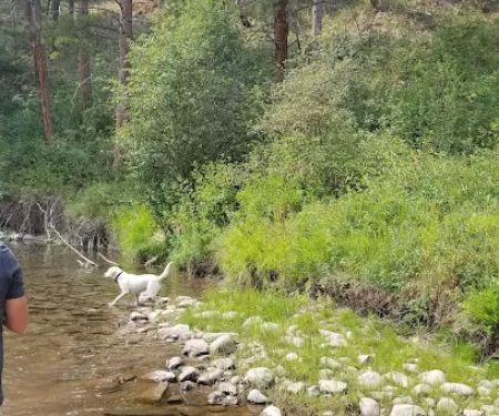 Monture Campground