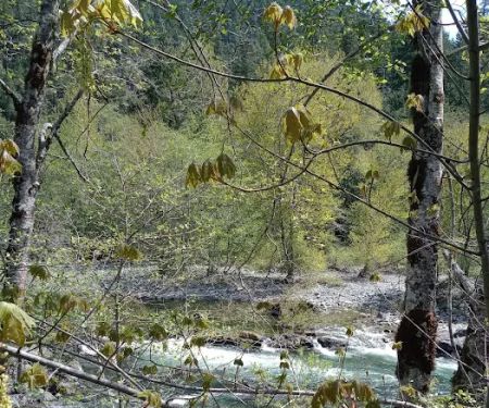 Patrick Creek Campground