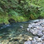 Big Flat Campground