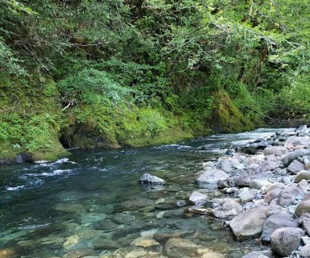Big Flat Campground