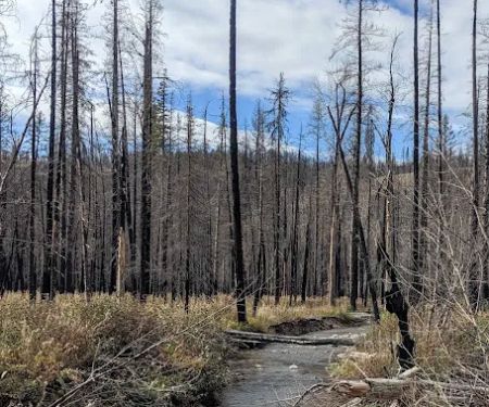 Monture Creek Campground