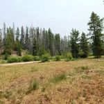 Copper Creek Campground