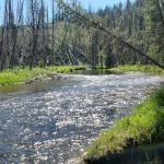 Chinook Campground