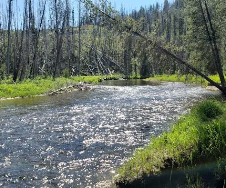 Chinook Campground