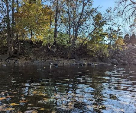 Grand Ledge Ravines